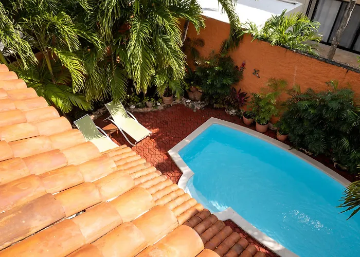 Casa Mulder - Steps To Private Pool Ocean-view Roof